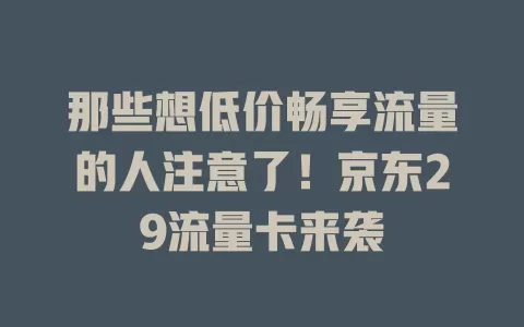 那些想低价畅享流量的人注意了！京东29流量卡来袭