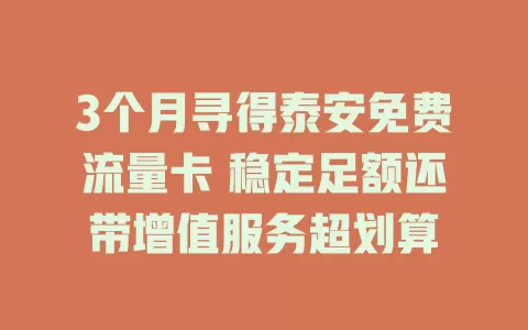 3个月寻得泰安免费流量卡 稳定足额还带增值服务超划算