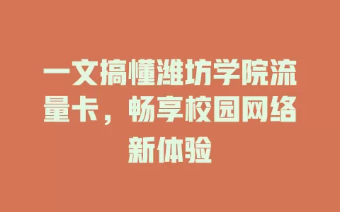 一文搞懂潍坊学院流量卡，畅享校园网络新体验