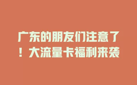 广东的朋友们注意了！大流量卡福利来袭