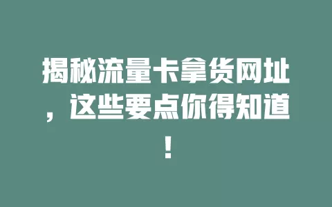 揭秘流量卡拿货网址，这些要点你得知道！