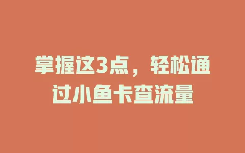 掌握这3点，轻松通过小鱼卡查流量