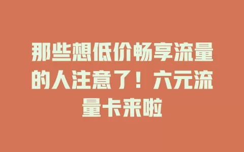 那些想低价畅享流量的人注意了！六元流量卡来啦