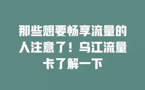 那些想要畅享流量的人注意了！乌江流量卡了解一下