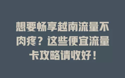 想要畅享越南流量不肉疼？这些便宜流量卡攻略请收好！