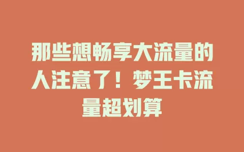 那些想畅享大流量的人注意了！梦王卡流量超划算