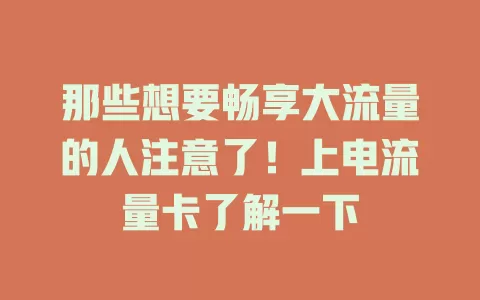 那些想要畅享大流量的人注意了！上电流量卡了解一下