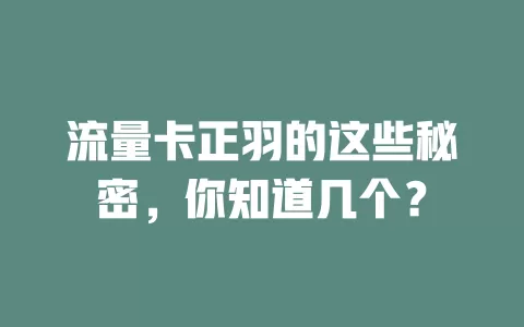 流量卡正羽的这些秘密，你知道几个？