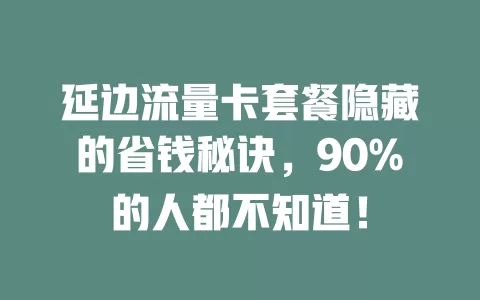 延边流量卡套餐隐藏的省钱秘诀，90%的人都不知道！