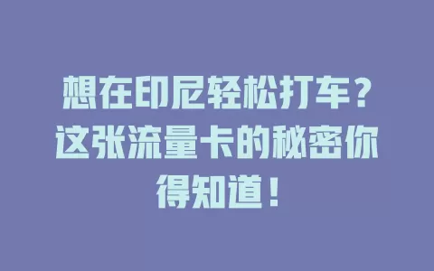 想在印尼轻松打车？这张流量卡的秘密你得知道！