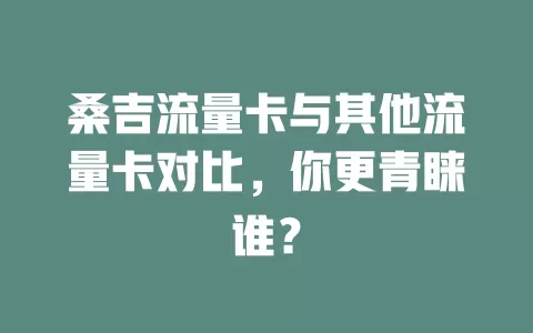 桑吉流量卡与其他流量卡对比，你更青睐谁？