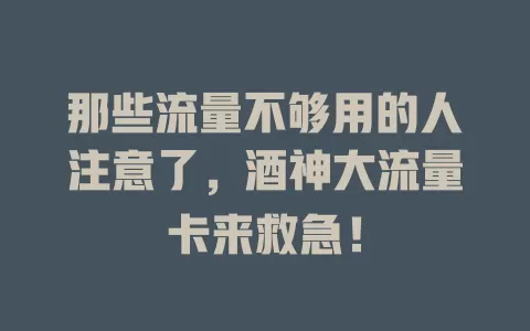 那些流量不够用的人注意了，酒神大流量卡来救急！