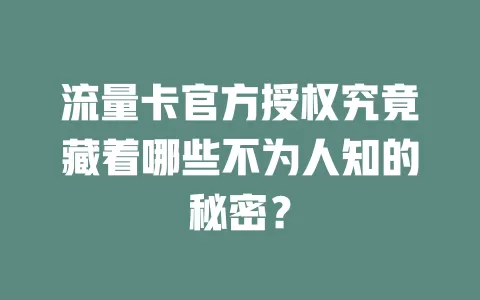 流量卡官方授权究竟藏着哪些不为人知的秘密？