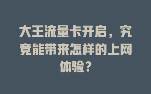 大王流量卡开启，究竟能带来怎样的上网体验？