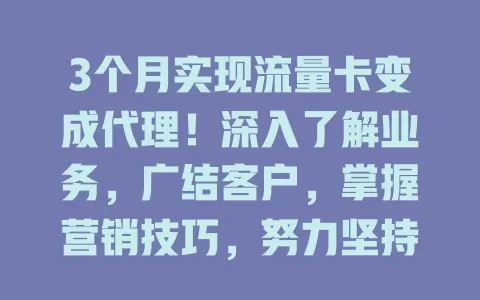 3个月实现流量卡变成代理！深入了解业务，广结客户，掌握营销技巧，努力坚持就能成功！