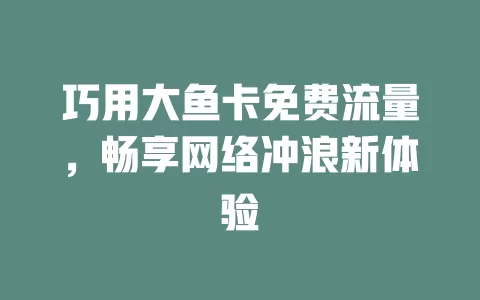 巧用大鱼卡免费流量，畅享网络冲浪新体验