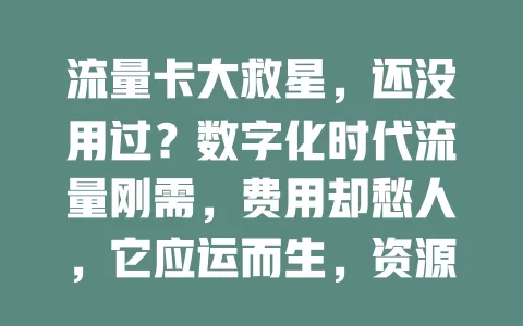 流量卡大救星，还没用过？数字化时代流量刚需，费用却愁人，它应运而生，资源丰富、套餐性价比高，告别流量焦虑，快试试！