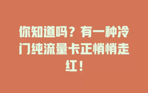你知道吗？有一种冷门纯流量卡正悄悄走红！