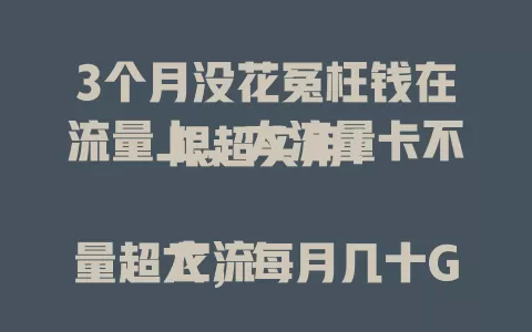 3个月没花冤枉钱在流量上，大流量卡不限超实用！

它流量超大，每月几十GB到上百GB，不限速，价格亲民。视频、游戏、商务人士用它超爽，告别流量烦恼，快来体验！