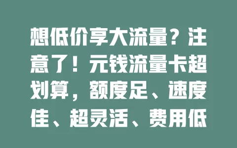 想低价享大流量？注意了！元钱流量卡超划算，额度足、速度佳、超灵活、费用低