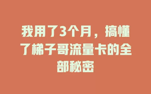 我用了3个月，搞懂了梯子哥流量卡的全部秘密