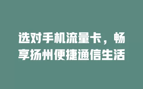 选对手机流量卡，畅享扬州便捷通信生活