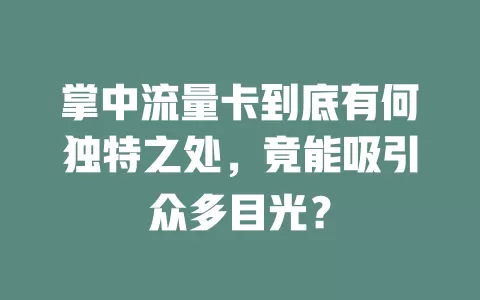 掌中流量卡到底有何独特之处，竟能吸引众多目光？