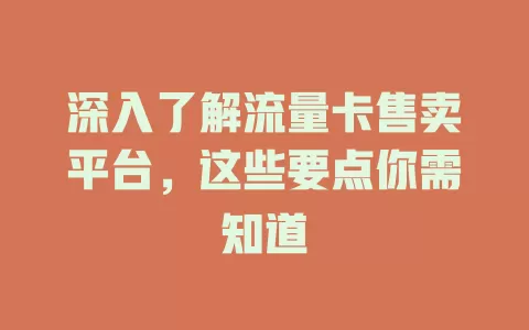 深入了解流量卡售卖平台，这些要点你需知道
