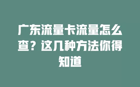 广东流量卡流量怎么查？这几种方法你得知道