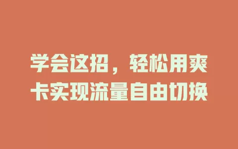 学会这招，轻松用爽卡实现流量自由切换