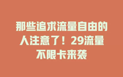 那些追求流量自由的人注意了！29流量不限卡来袭