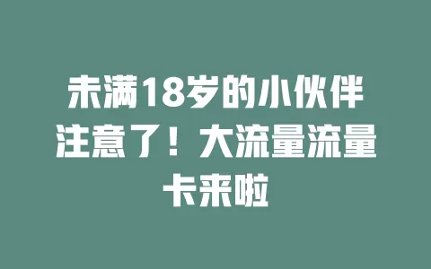 未满18岁的小伙伴注意了！大流量流量卡来啦