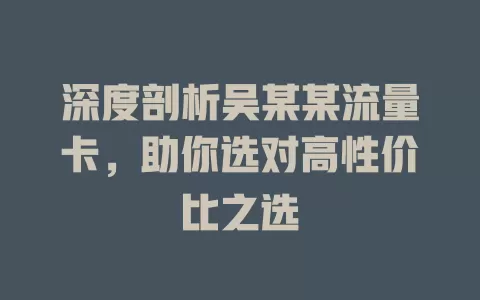 深度剖析吴某某流量卡，助你选对高性价比之选