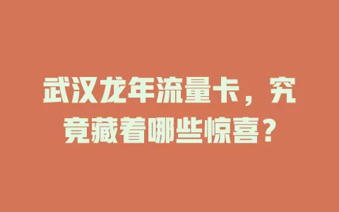 武汉龙年流量卡，究竟藏着哪些惊喜？