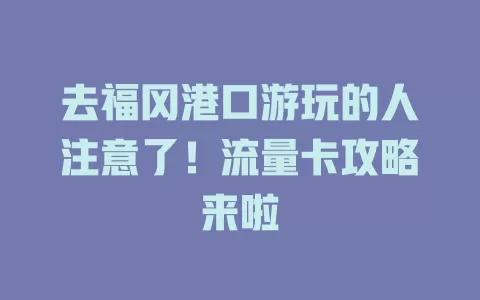 去福冈港口游玩的人注意了！流量卡攻略来啦