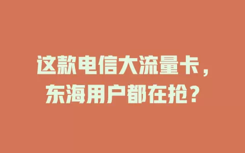 这款电信大流量卡，东海用户都在抢？