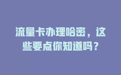 流量卡办理哈密，这些要点你知道吗？