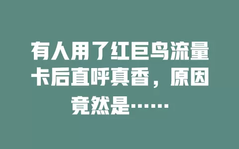 有人用了红巨鸟流量卡后直呼真香，原因竟然是……