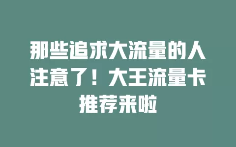 那些追求大流量的人注意了！大王流量卡推荐来啦