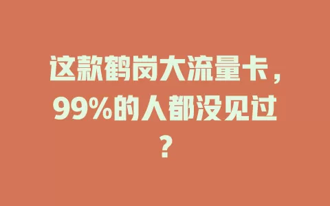 这款鹤岗大流量卡，99%的人都没见过？