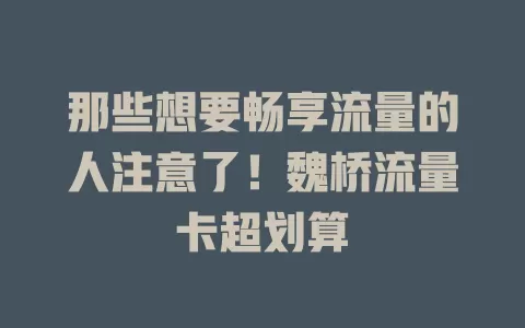 那些想要畅享流量的人注意了！魏桥流量卡超划算