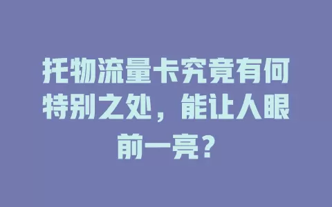 托物流量卡究竟有何特别之处，能让人眼前一亮？