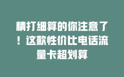 精打细算的你注意了！这款性价比电话流量卡超划算