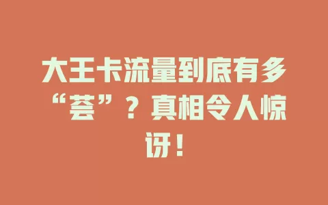 大王卡流量到底有多“荟”？真相令人惊讶！