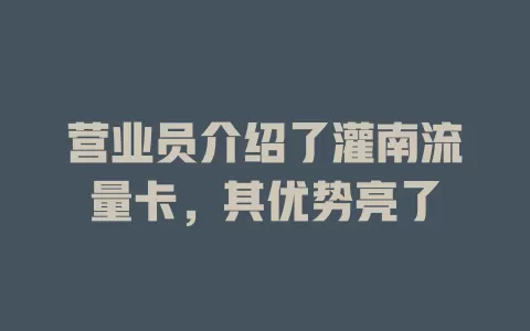 营业员介绍了灌南流量卡，其优势亮了