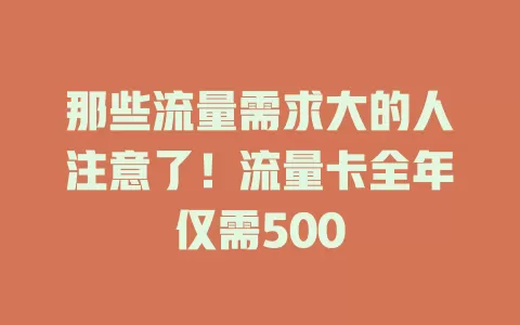 那些流量需求大的人注意了！流量卡全年仅需500