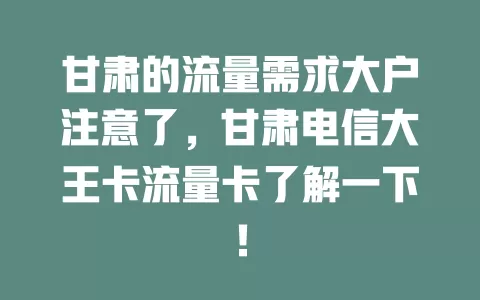 甘肃的流量需求大户注意了，甘肃电信大王卡流量卡了解一下！