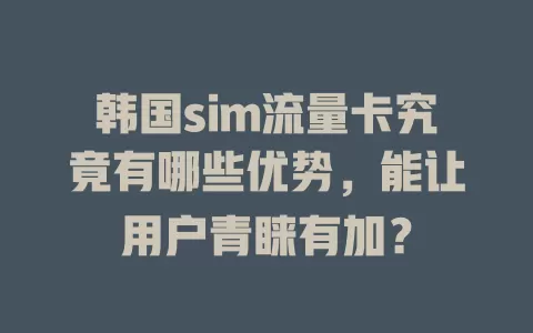 韩国sim流量卡究竟有哪些优势，能让用户青睐有加？