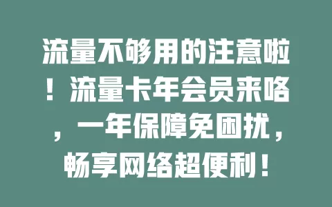 流量不够用的注意啦！流量卡年会员来咯，一年保障免困扰，畅享网络超便利！