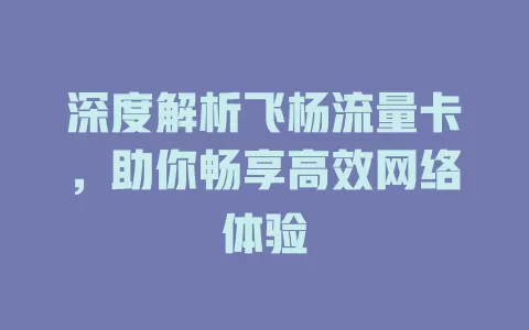 深度解析飞杨流量卡，助你畅享高效网络体验